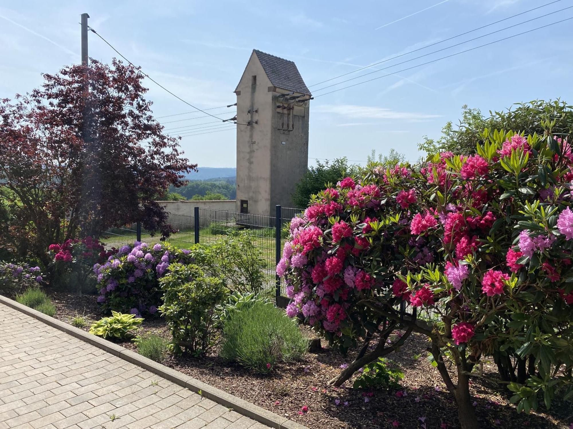 Villa Geisenhof มิลเทินแบร์ก ภายนอก รูปภาพ